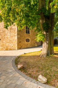 Chestnut tree in the church garden of the Evangelical Parish Church in Simmertal, on the middle Nahe, Bad Kreuznach district, Chestnut tree in the church garden of the Evangelical Parish Church in Simmertal, on the middle Nahe, Bad Kreuznach district,